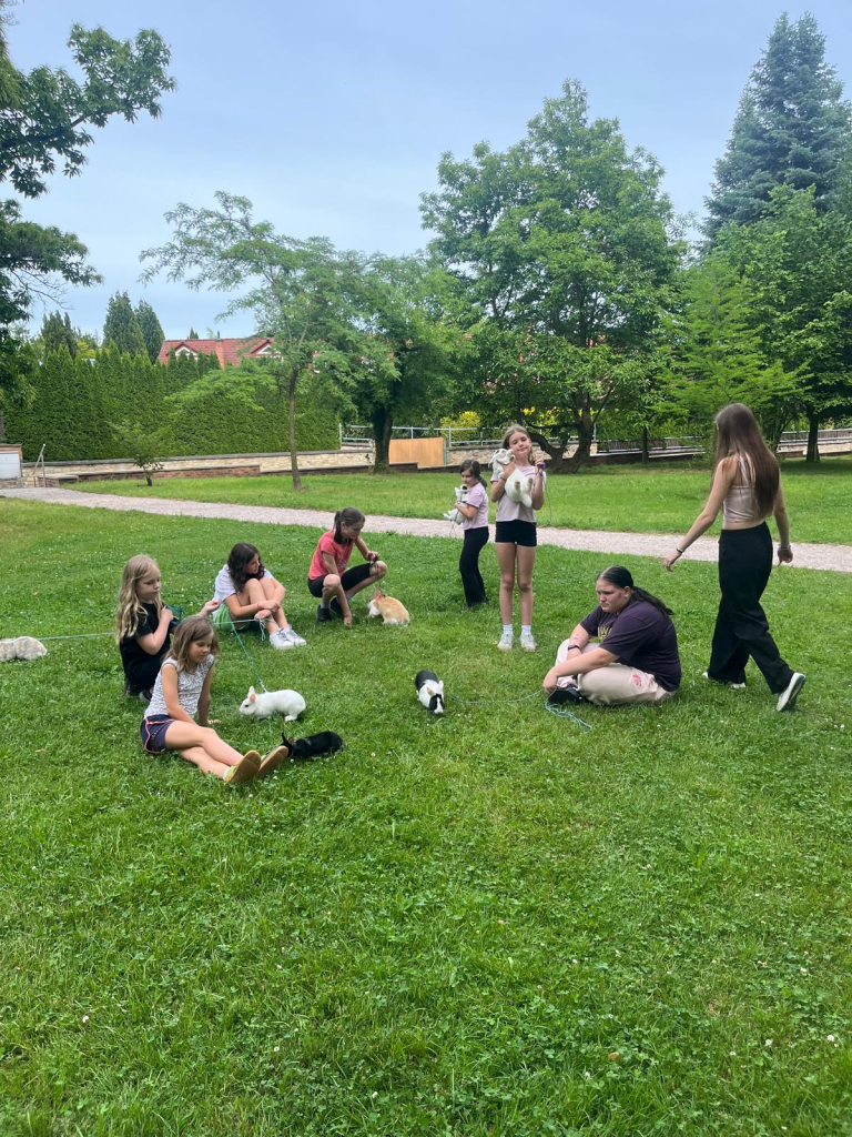 Přespávačka, Králičí hop