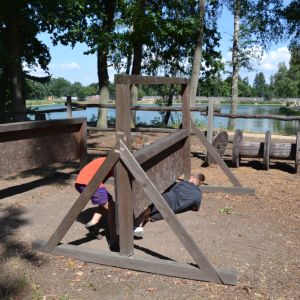 DSC_0587 (2).JPG
