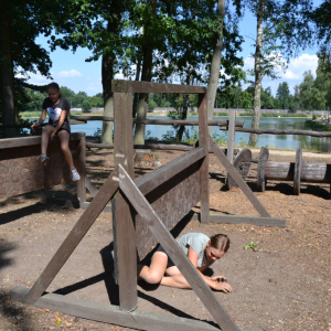 DSC_0591 (2).JPG