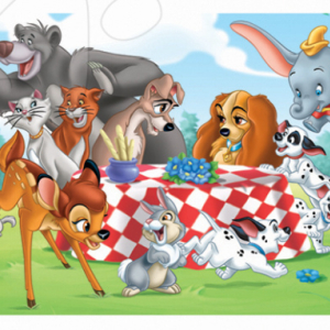 TÁBOR MÁME RÁDI ZVÍŘATA