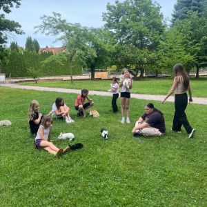 Přespávačka, Králičí hop