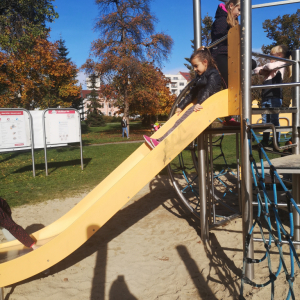 IMG_20221026_130155.jpg